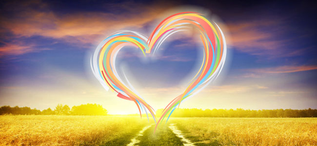 草地上有一個(gè)顆絢麗的心型圖案，可用于體現(xiàn)用心服務(wù)的企業(yè)文化。